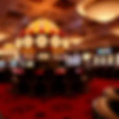 Magnificent Exploring Online Casino Florida Free Bonus No Deposit Magnificent Exploring Online Casino Florida Free Bonus No Deposit