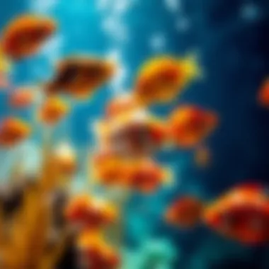 Vibrant underwater scene featuring colorful fish