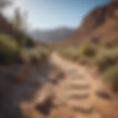 Scenic hiking trail surrounded by desert landscape